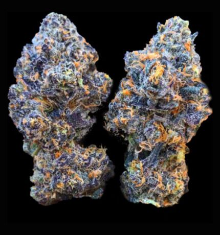 Untitled design 44 G7’s Oreoz Inferno (5 seeds)