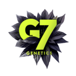 G7 Genetics